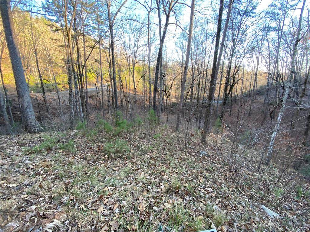 0 Bills Mountain Trail - Photo 1