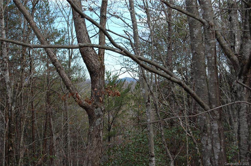 0 Piney Creek Drive - Photo 1