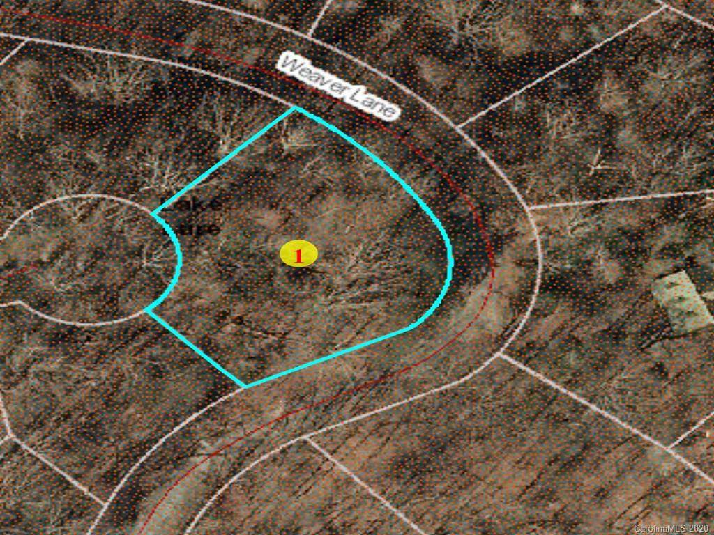 LOT 203 Quail Ridge - Photo 1