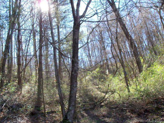 000 Hidden Valley Road - Photo 1