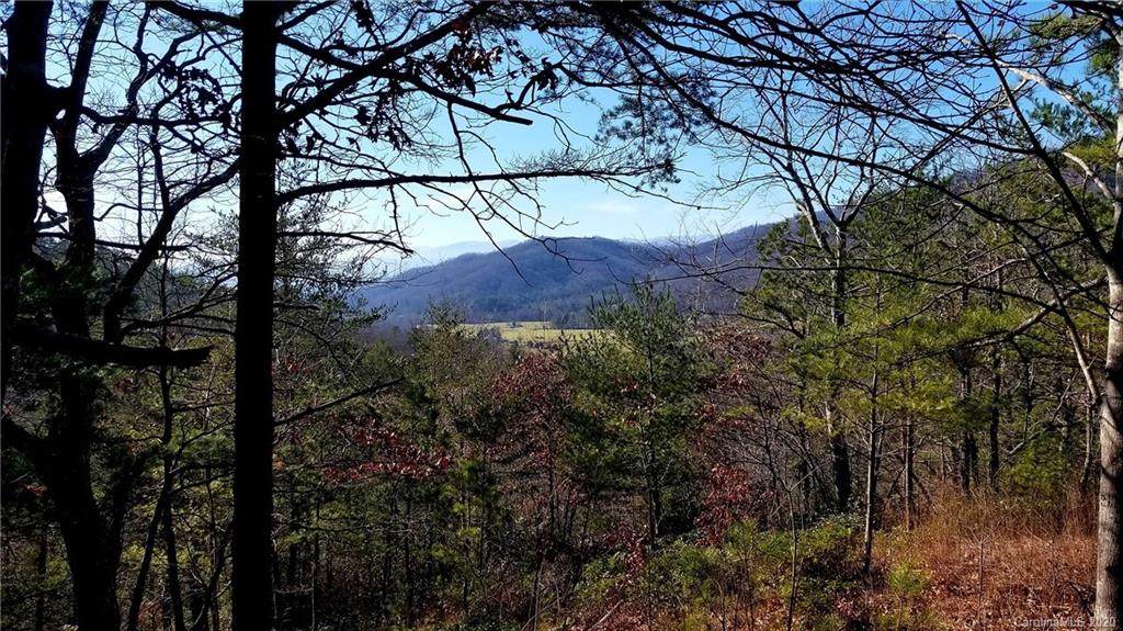 0 Fawn Lane - Photo 1