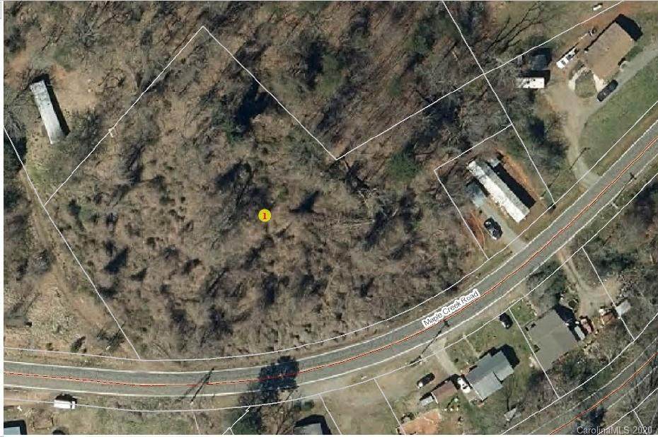0 Maple Creek Road - Photo 1