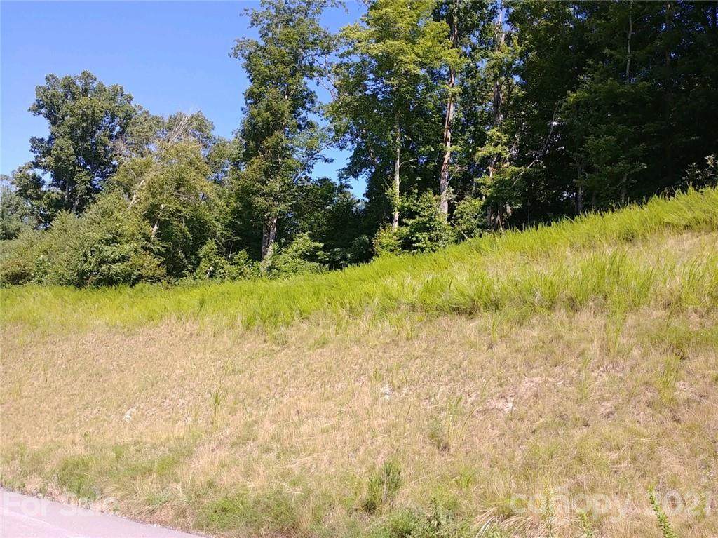 6045 Highway 19W - Photo 1