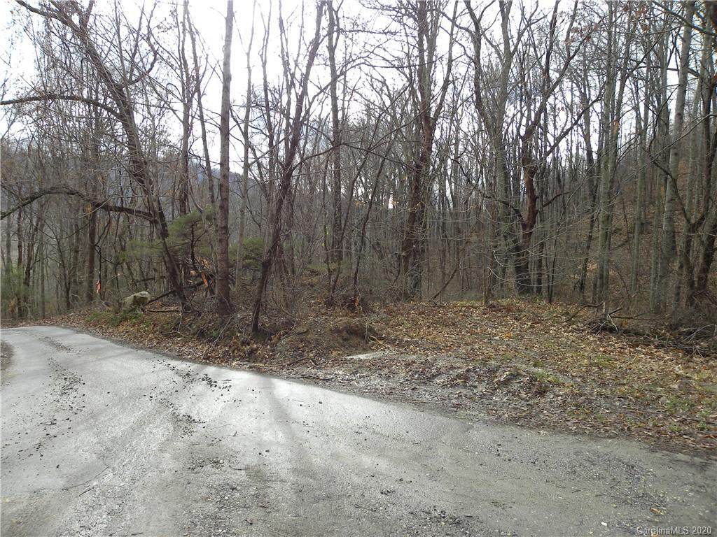 00000 Moody Cove Road - Photo 1