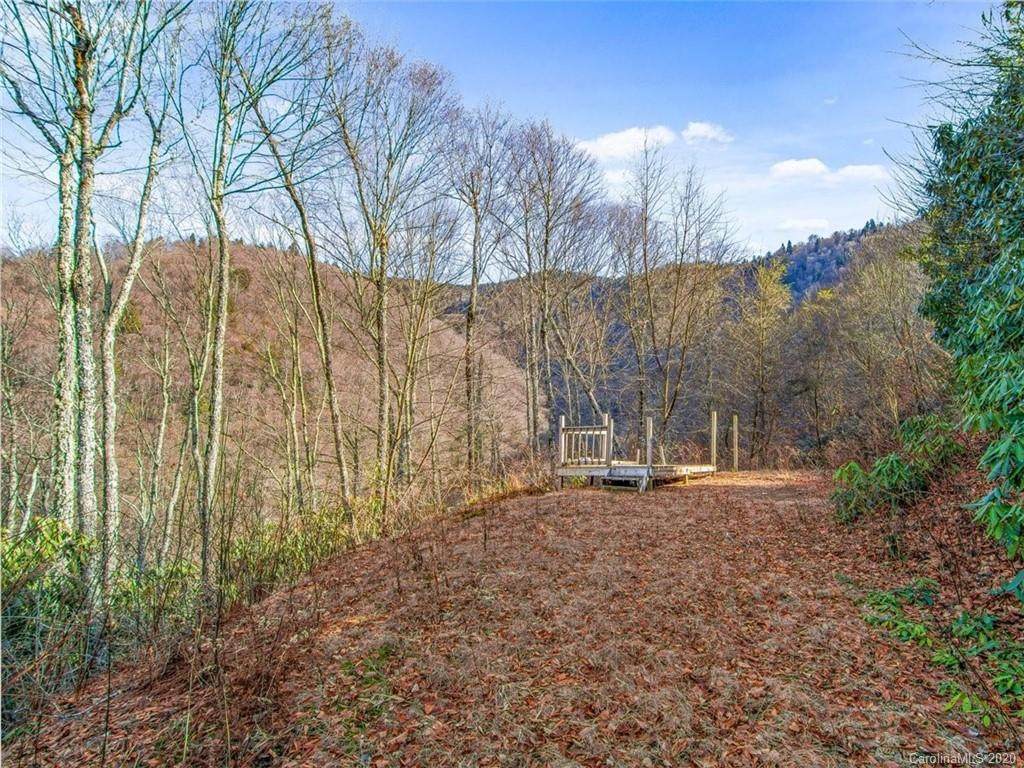 99999 Plott Balsam Road - Photo 1