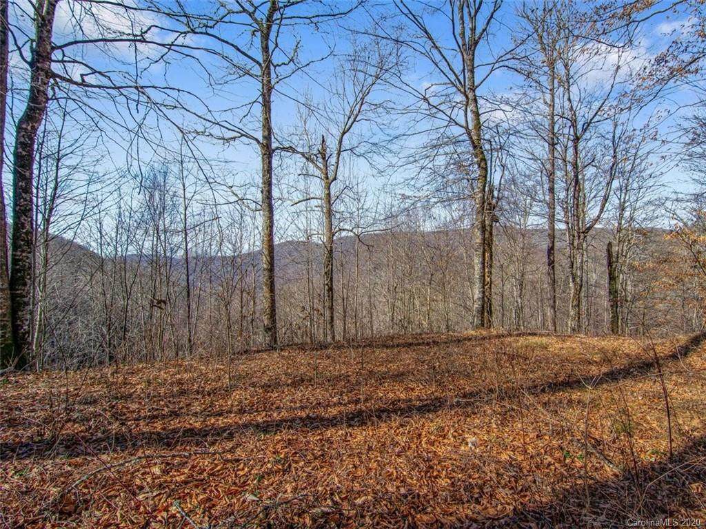 00000 Spruce Flats Road - Photo 1