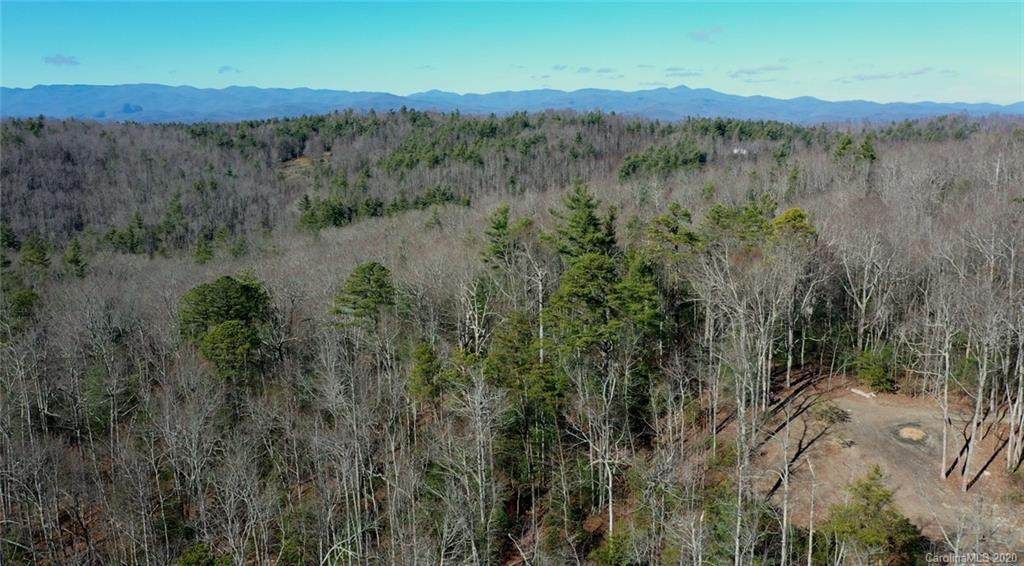 TBD Bulling Creek Road - Photo 1