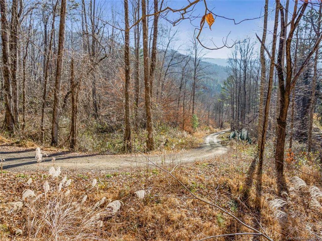99999 Ox Creek Road - Photo 1