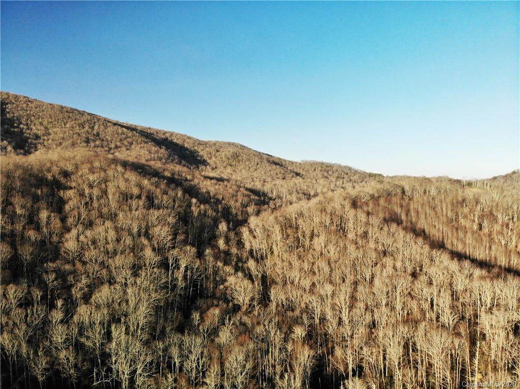 00 Beaver Dam Road - Photo 1