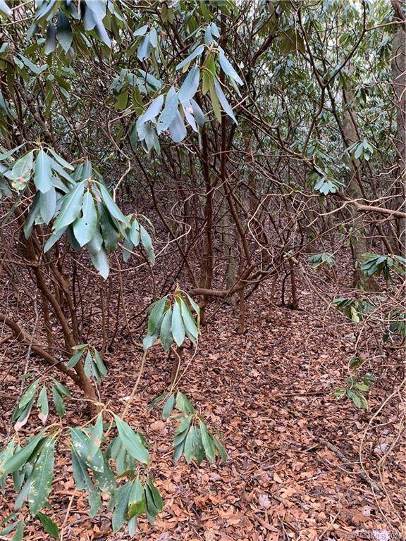 9999 Lazy Bear Trail - Photo 1