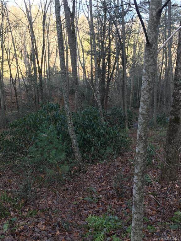 747 Coyote Hollow Road - Photo 1