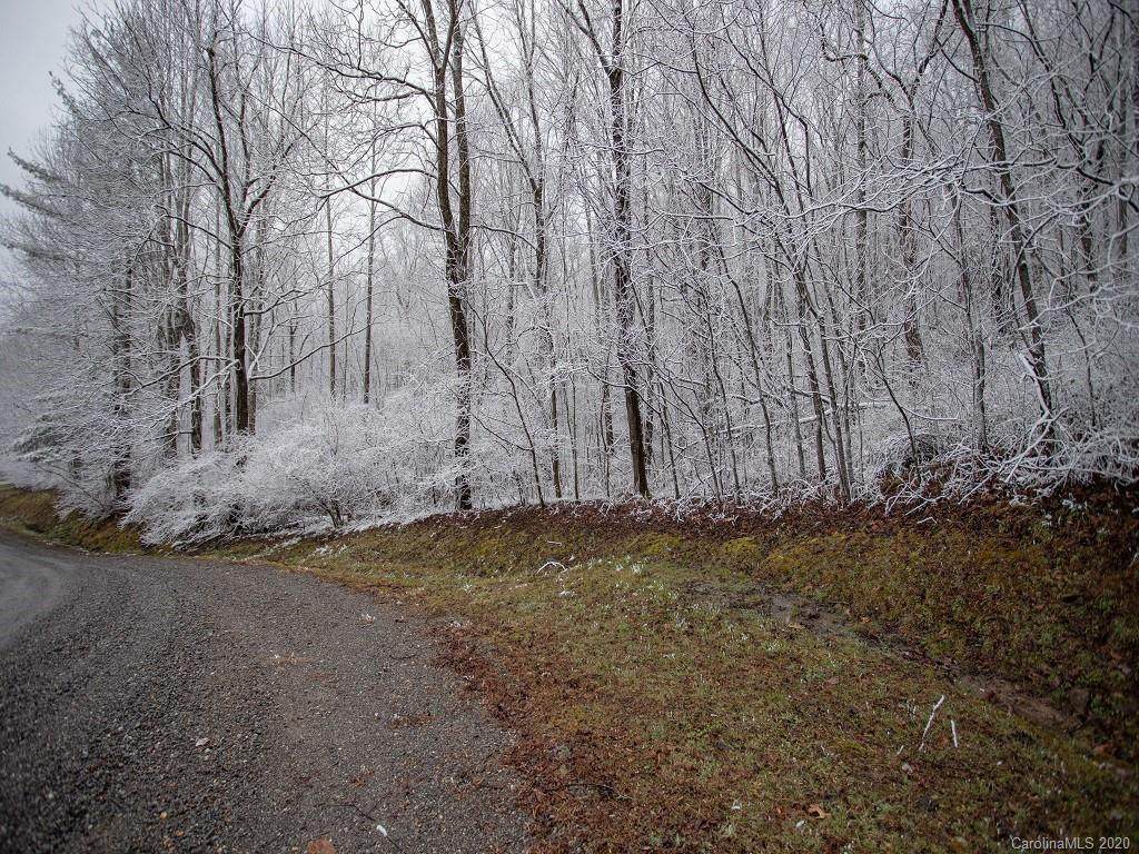 123 Live Oak Loop - Photo 1