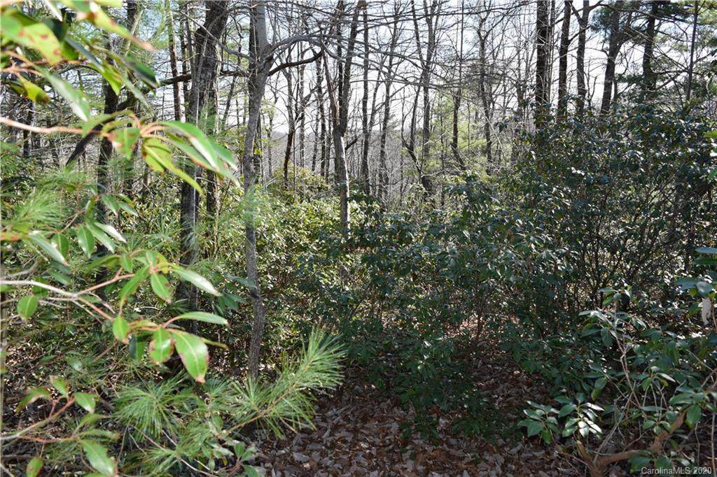 119 Pinnacle Peak Lane - Photo 1