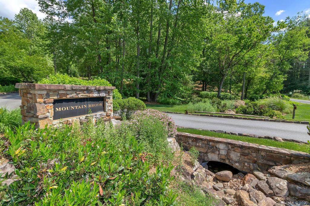 Lot 48 Mountain Brook Trail - Photo 1