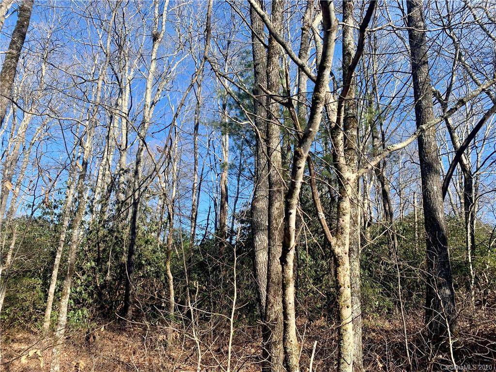 12 Toxaway Trail - Photo 1