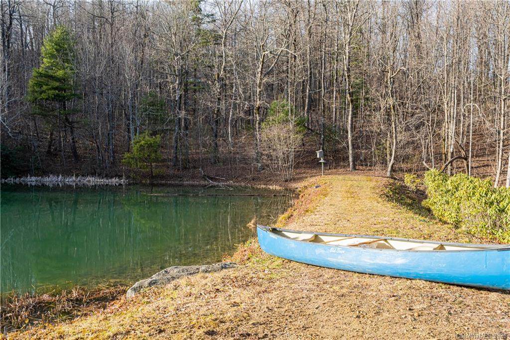 0000 Bear Paw Ridge Road - Photo 1