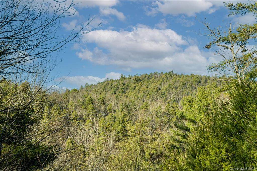 38 Bear Paw Ridge Road - Photo 1