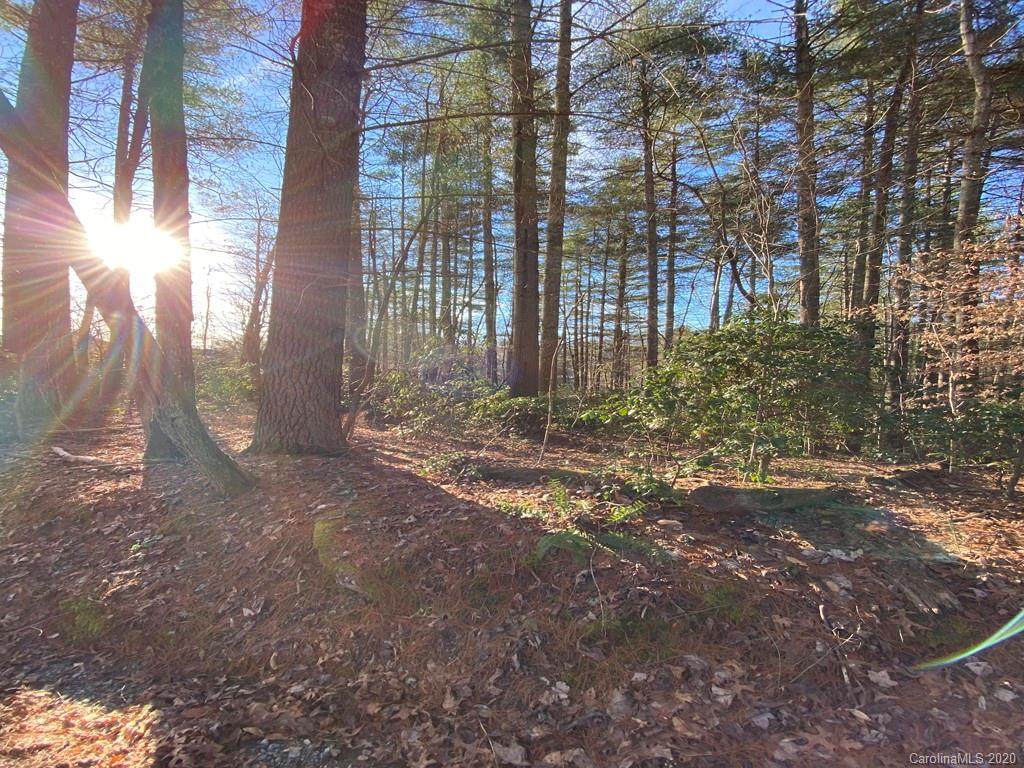 L-4 Canvasback Court - Photo 1