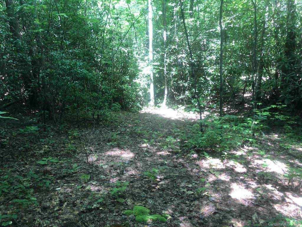 TBD Silver Maple Trail - Photo 1