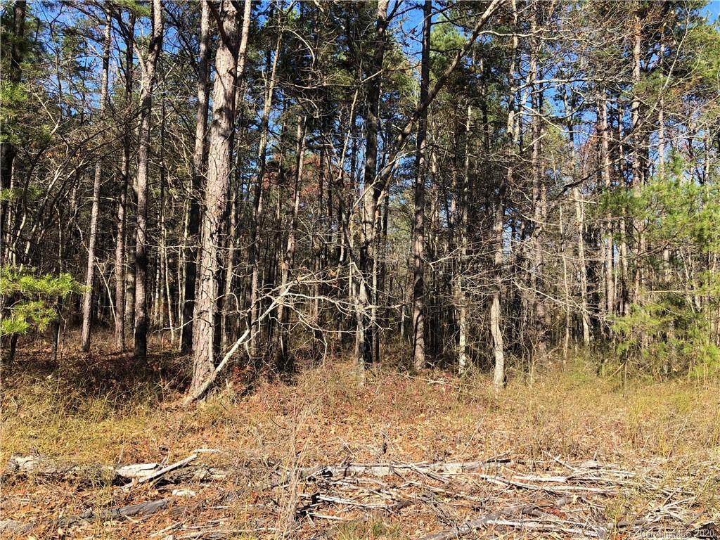 0 High Rock Road - Photo 1