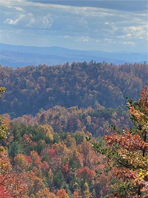 NA Zacks Fork Road - Photo 1