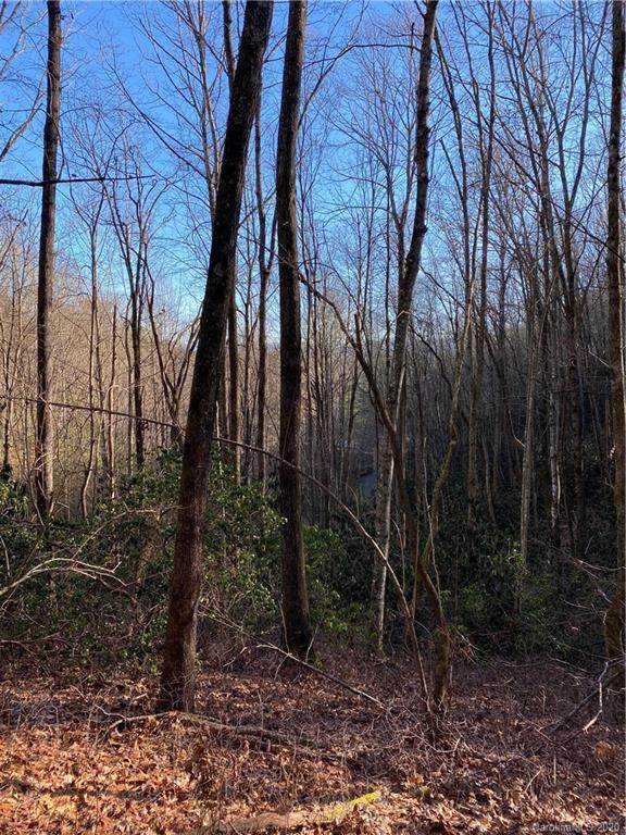 Lots 86 & 87 Waterford Lane - Photo 1