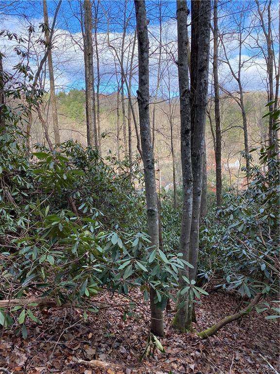 Lot 50 & 51 Wood Duck Court - Photo 1