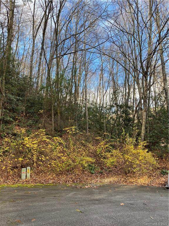 Lots 48 & 49 Wood Duck Court - Photo 1