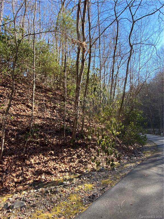Lot 58 Waterford Lane - Photo 1
