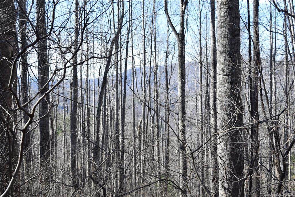 000 Nc 80 Highway - Photo 1