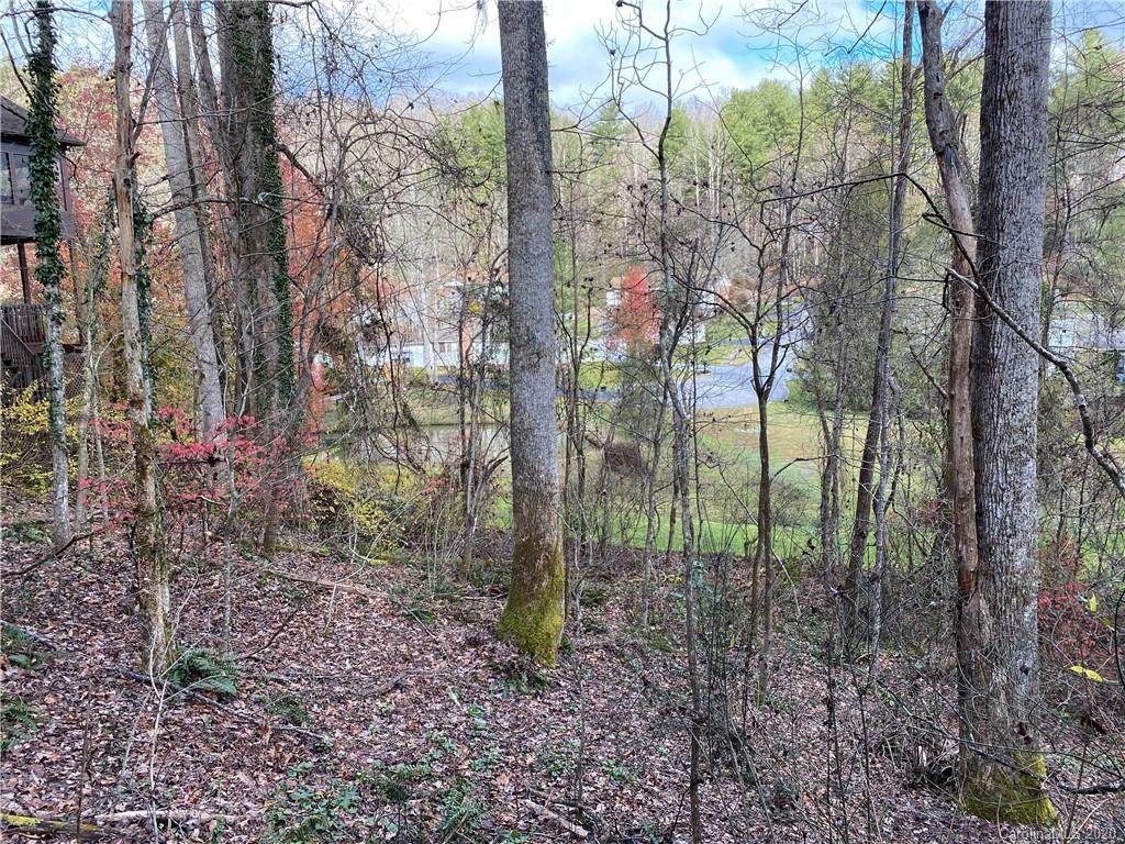 Lot 45 Wood Duck Court - Photo 1