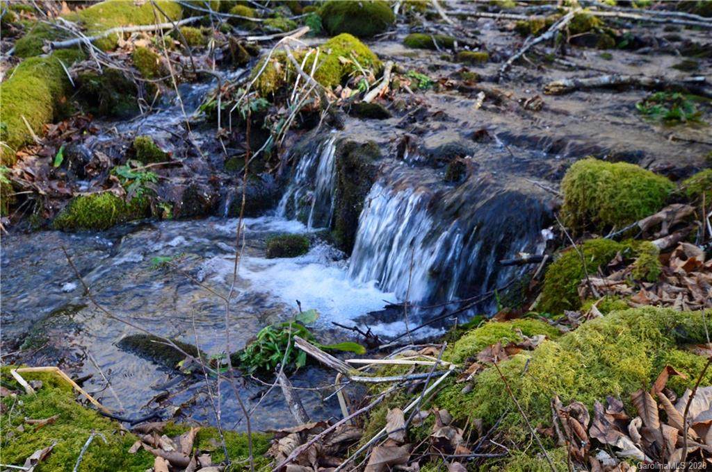 57 Guque Trail - Photo 1