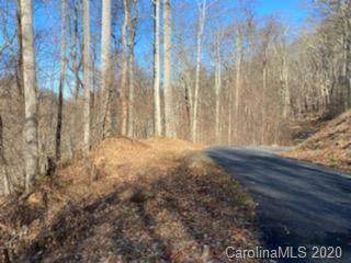 Lot 21 Spring Rock Road - Photo 1