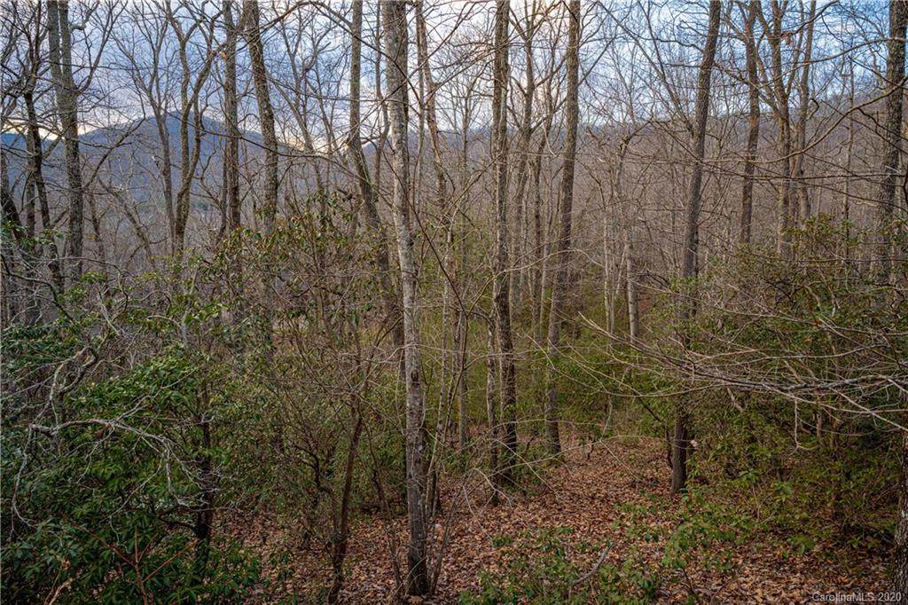 8 Wood Lily Trail - Photo 1