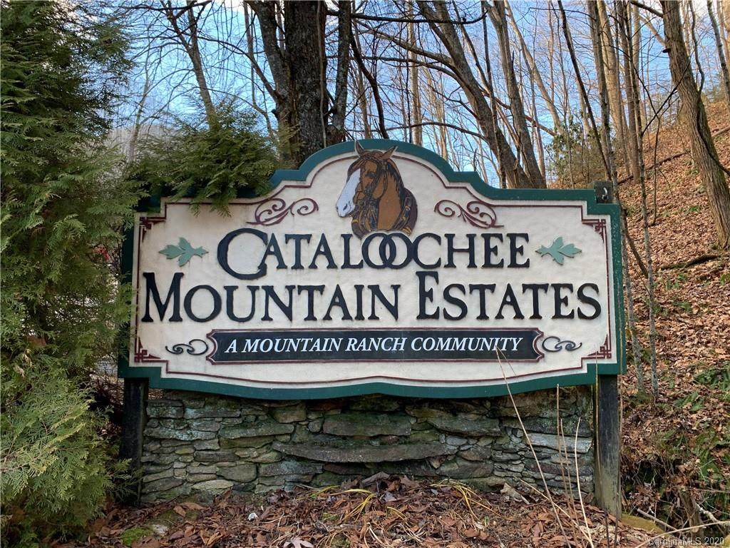 0 Appaloosa Trail - Photo 1