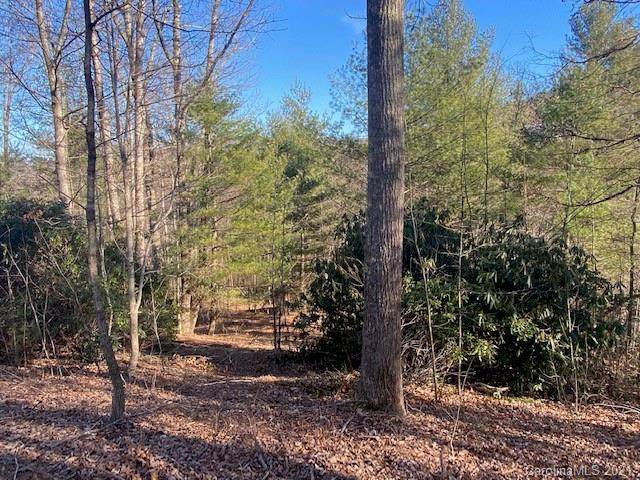 0000 Silverglen Way - Photo 1