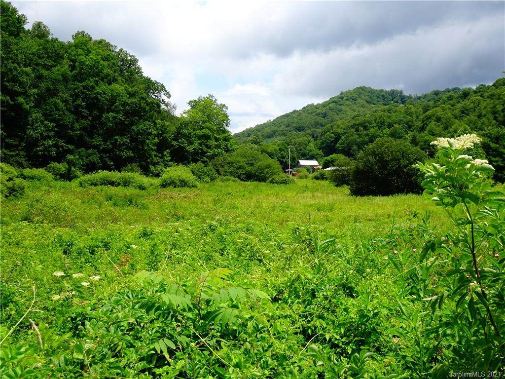 Upper Laurel Valley Road - Photo 1