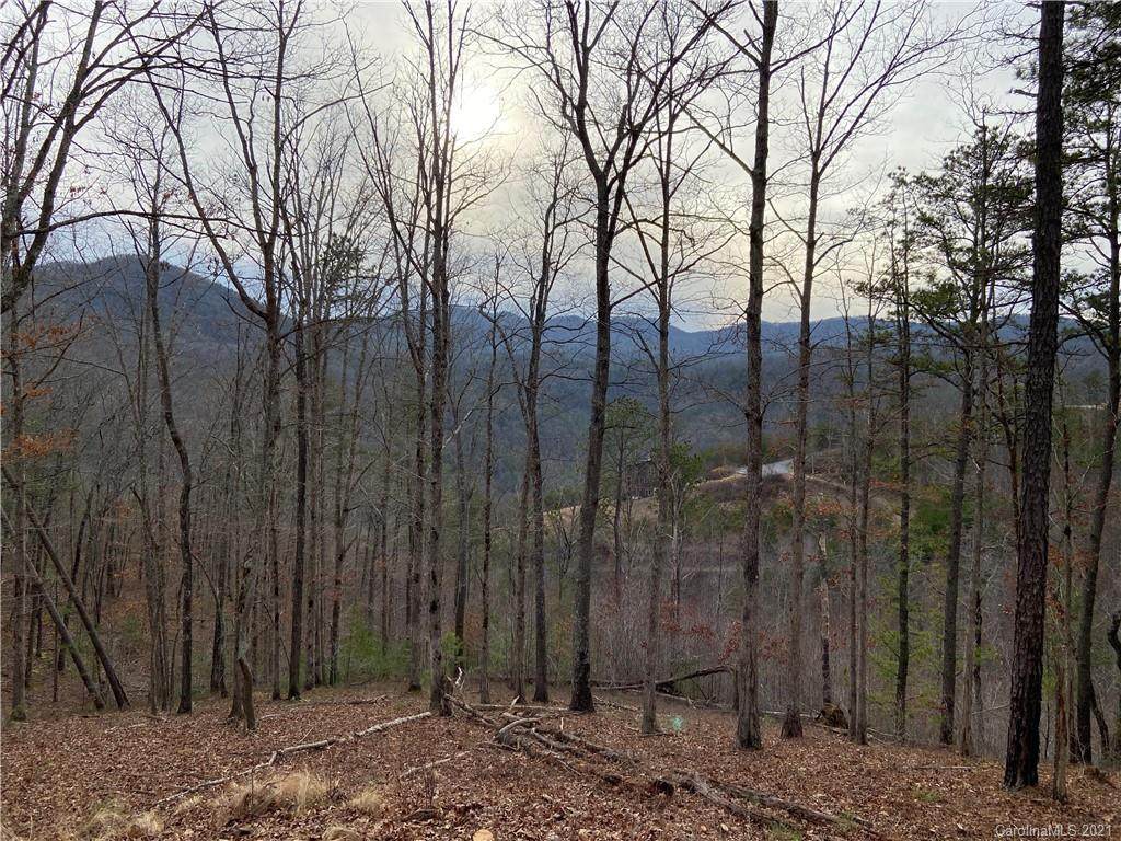 567 Wild River Run - Photo 1