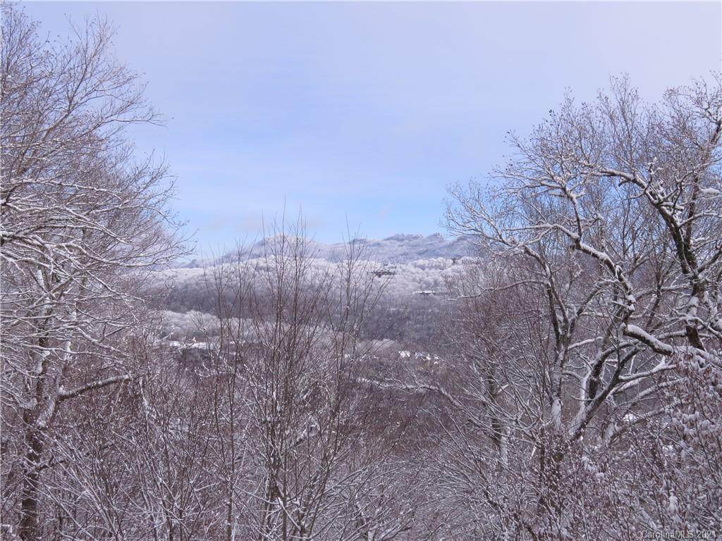 0000 Green Cliffs Road - Photo 1