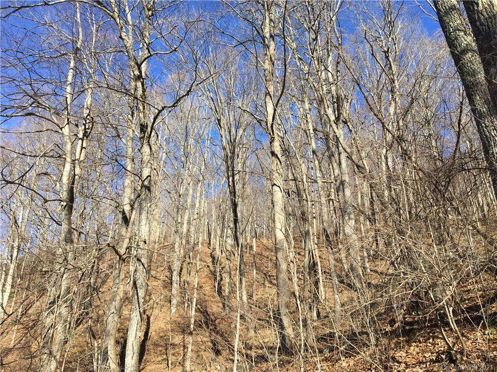 TBD Red Oak Forest Road - Photo 1