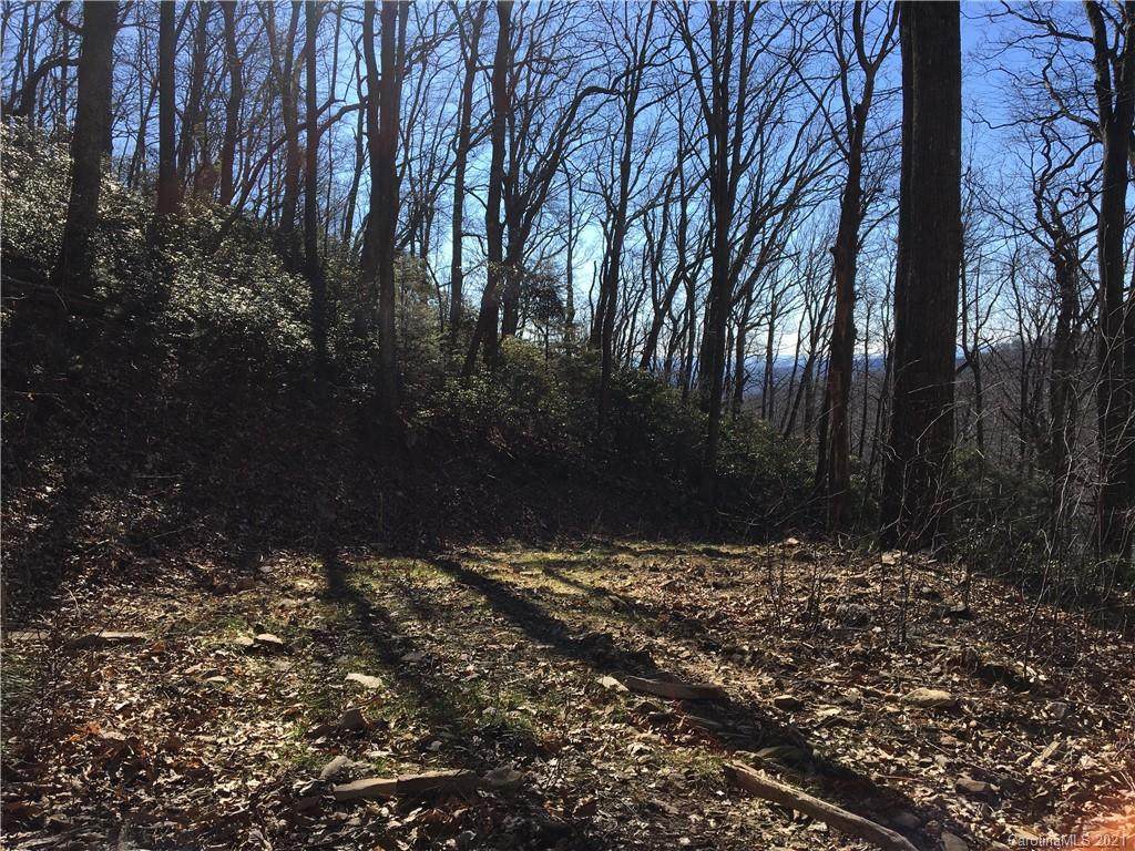 TBD Red Oak Forest Road - Photo 1