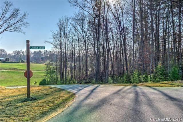 18 Grizzly Drive - Photo 1