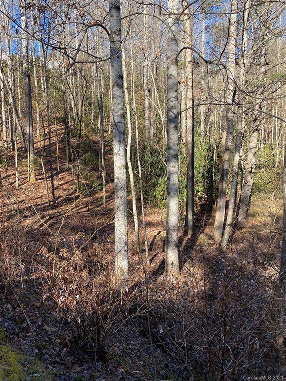 Lot 57 Waterford Lane - Photo 1