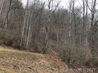 V/L Holland Creek Road - Photo 1
