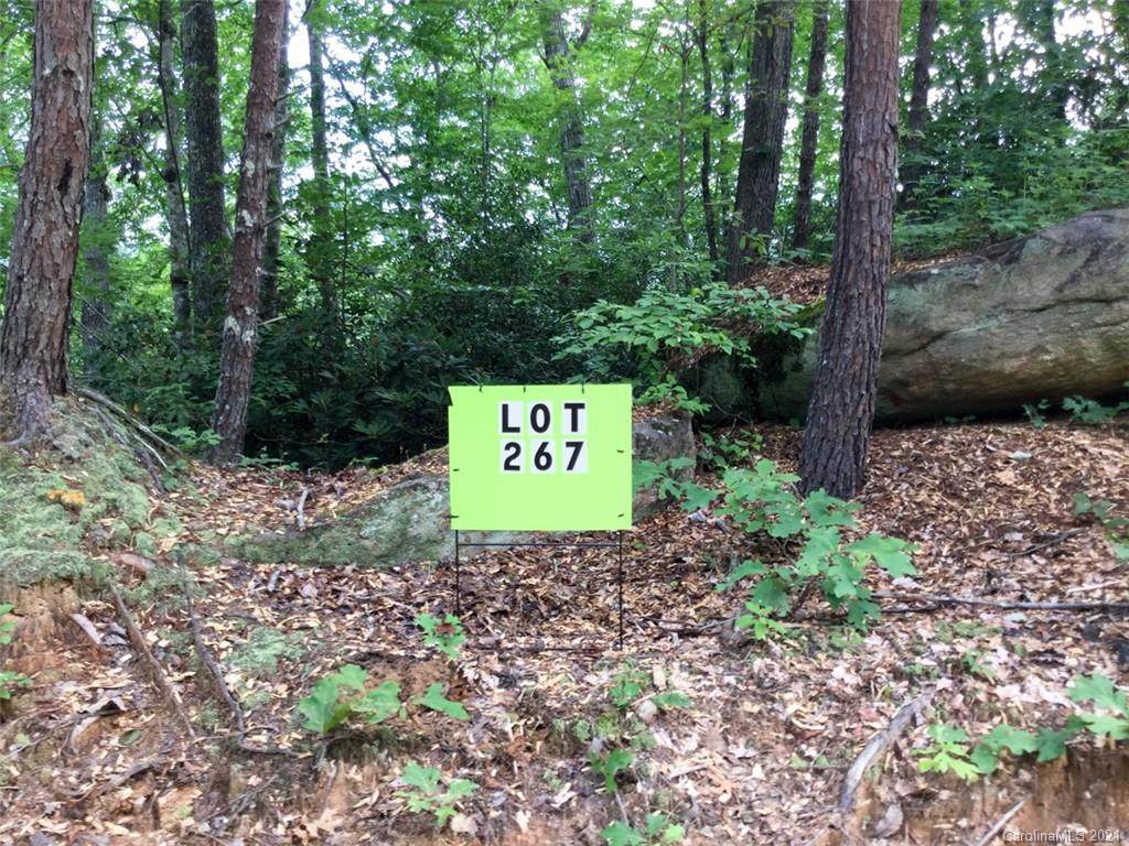 Lot 267 Wildcat Circle - Photo 1