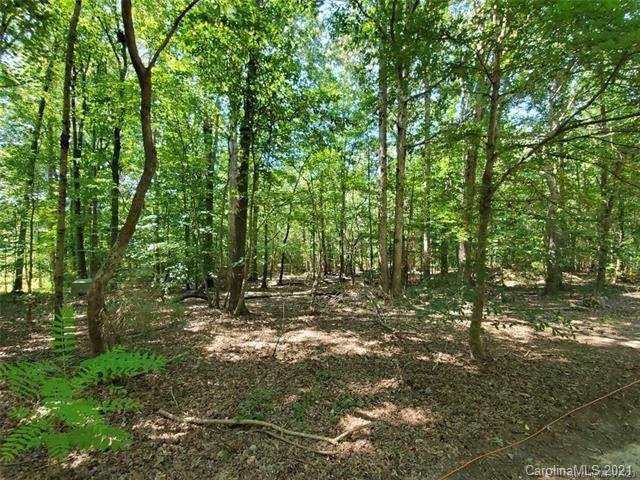 TBD Lester Davis Road - Photo 1