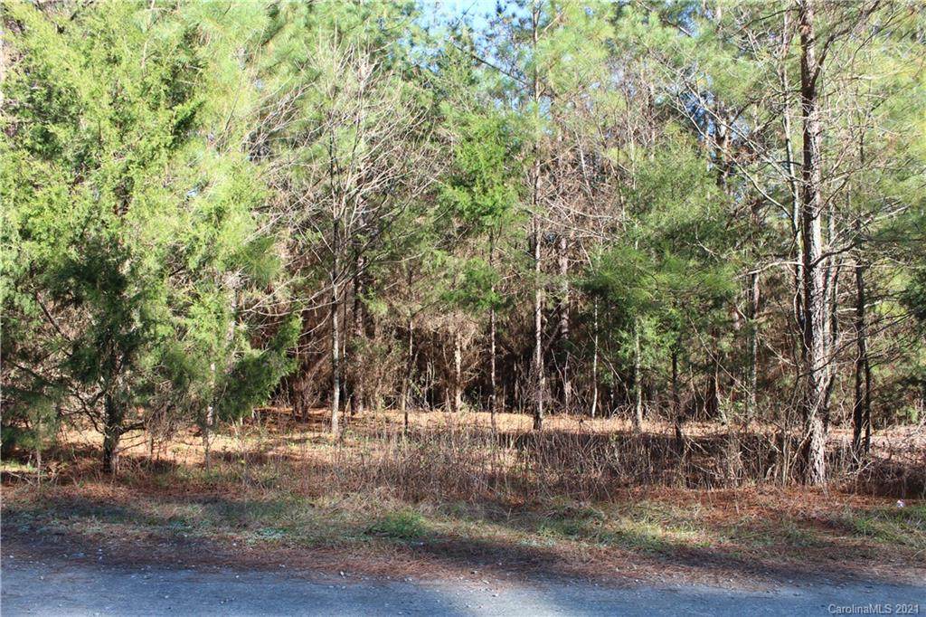 Lot C Clearview Road - Photo 1