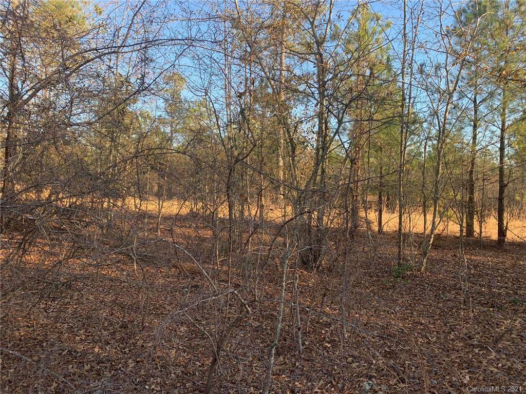 1013 Scott Road - Photo 1