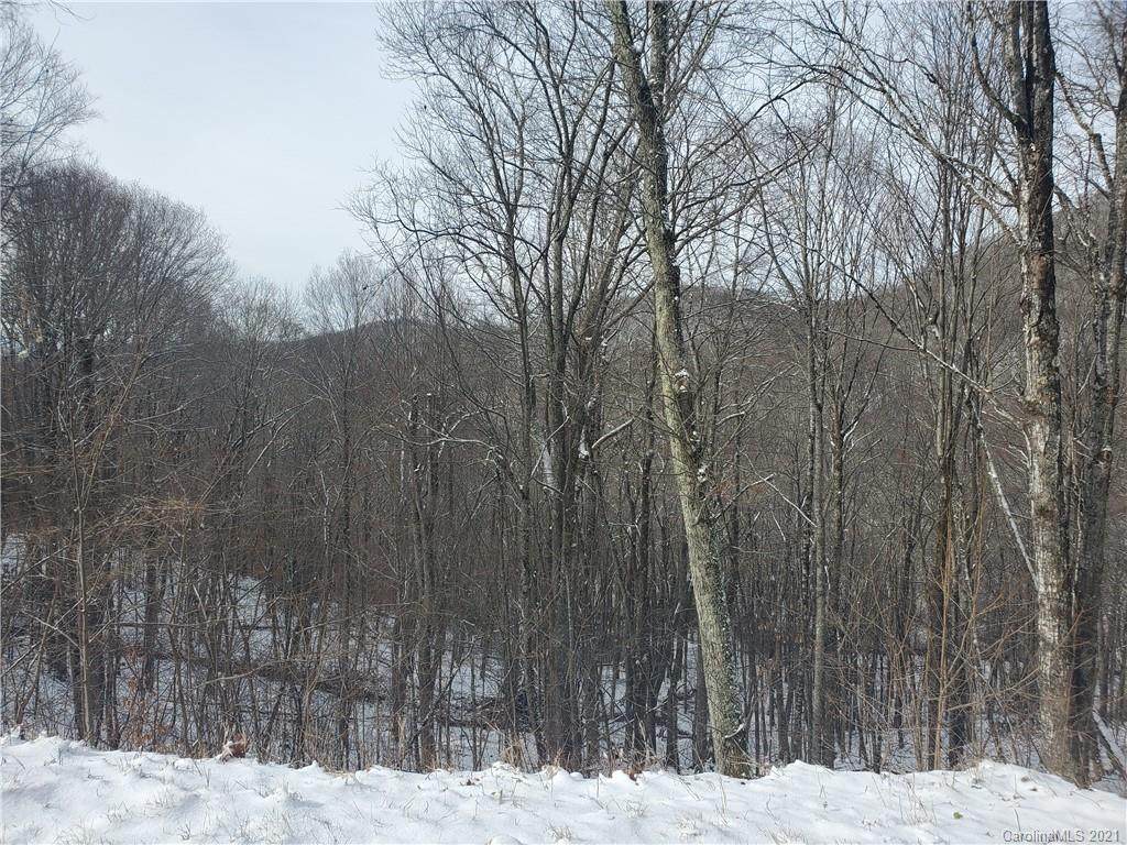 TBD Mcdaris Loop Loop - Photo 1