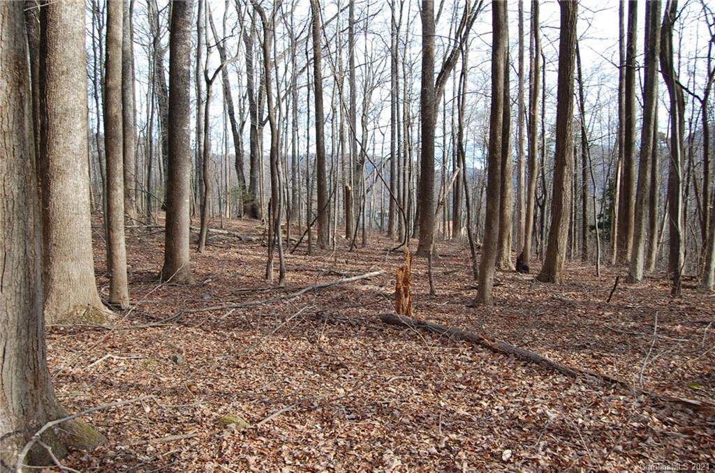 0 Big Rock Lane - Photo 1